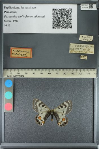Media type: image;   Entomology 180354